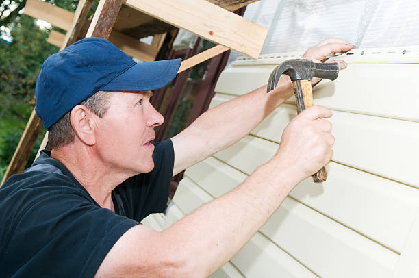 Best Custom Trim and Detailing for Siding  in Madison, WV