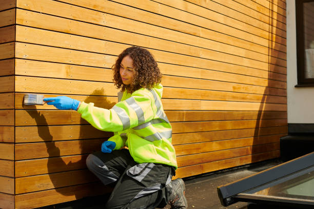 Best Stucco Siding  in Madison, WV